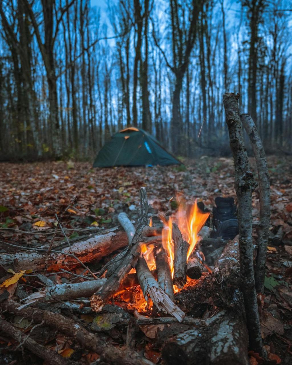 The hidden horrors of&nbsp;camping