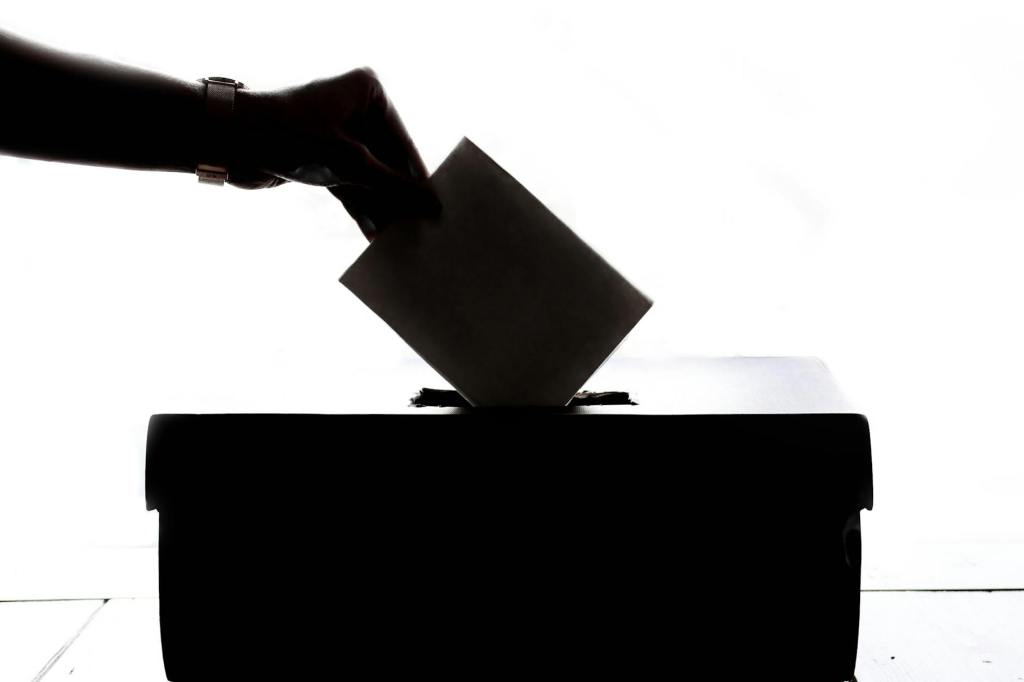 Selective voting
